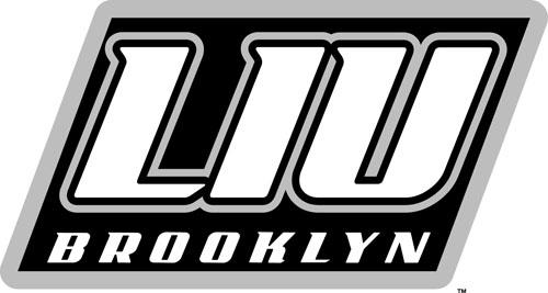 LIU-Brooklyn Blackbirds 2008-Pres Alternate Logo v2 iron on transfers for T-shirts